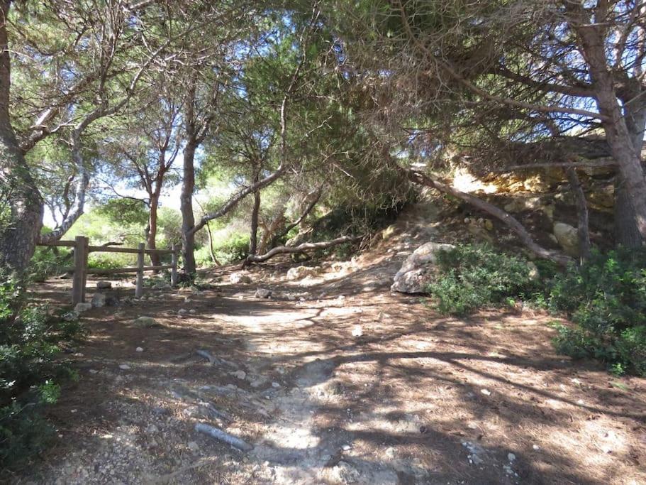 Coqueto Alojamiento Con Banera De Hidromasaje Διαμέρισμα Ταραγόνα Εξωτερικό φωτογραφία